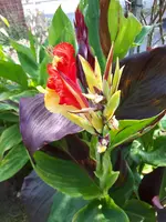 20200805_123822.jpg
