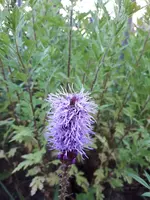 20200723_180522.jpg