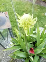 2020-08-08 11.28.13.webp