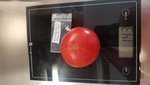 20200808_114221.jpg