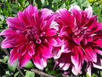 20200808_120317.jpg