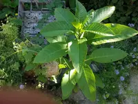 2020-08-08 16.22.15.webp