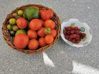 IMG_20200808_101617.webp