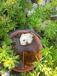 20200808_183726.jpg