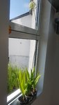 20200809_093924.jpg