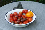 August   0420.JPG