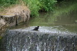 Badetag0318.JPG
