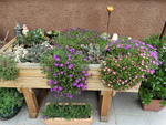 DSC05333 (2).png