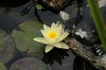 DSC09310.JPG
