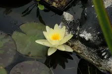 DSC09310.JPG