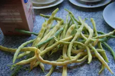 DSC09312.JPG