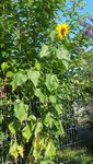 20200811_094706.jpg