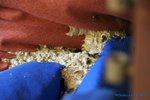 comp_DSC09236.jpg