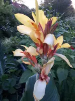 20200812_060643.webp