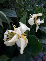 20200812_060650.webp