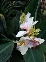 20200812_060614.jpg