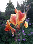 20200812_060701.jpg