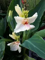 20200810_191809.webp