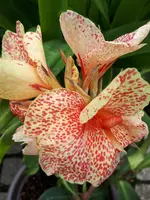 20200809_113921.webp