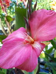 20200808_115527.jpg