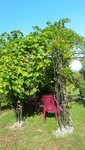 20200811_095350.jpg