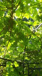 20200811_095402.webp