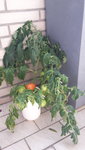 20200812_140539.jpg