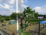 k-DSC03270.JPG