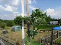 k-DSC03270.webp