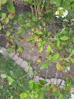 20200812_195946.jpg