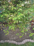 20200812_195943.jpg