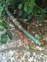 photo_2020-08-13_14-35-45.webp photo_2020-08-13_14-35-45.webp