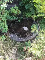 photo_2020-08-13_14-35-40.webp photo_2020-08-13_14-35-40.webp