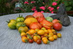 August   0920.JPG