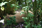 August 0120.JPG