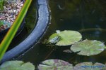 comp_DSC09316.jpg