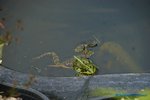 comp_DSC09317.jpg