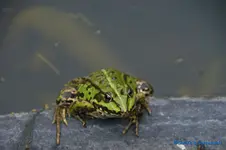 comp_DSC09322.webp