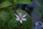 comp_DSC09324.jpg