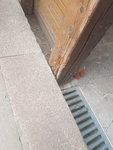 20200813_174216.jpg