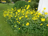 DSC01215.JPG
