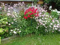 DSC01219.JPG