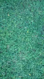 20200813_205411.jpg