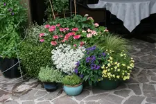 Terasse    2820.webp