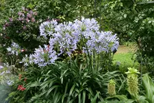 Terasse    3520.webp