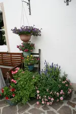 Terasse    3620.webp