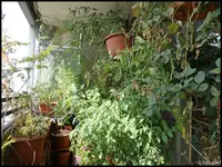 c054.webp