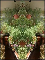 c056.webp