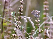image006.webp