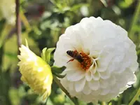 image003.webp